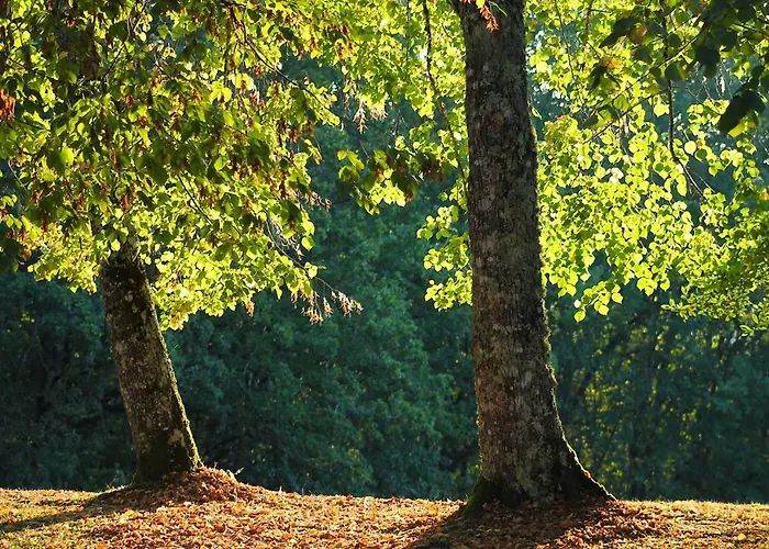 Charmante Maison Avec Piscine 別荘 *